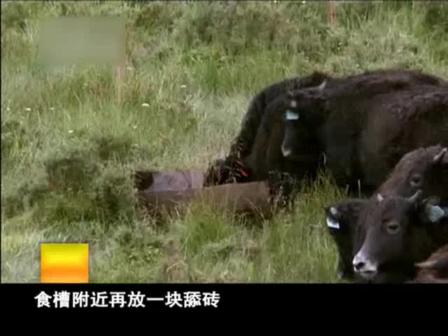 云丹學科技0703