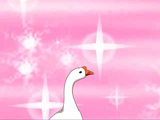 白公鵝（中）（09.14）