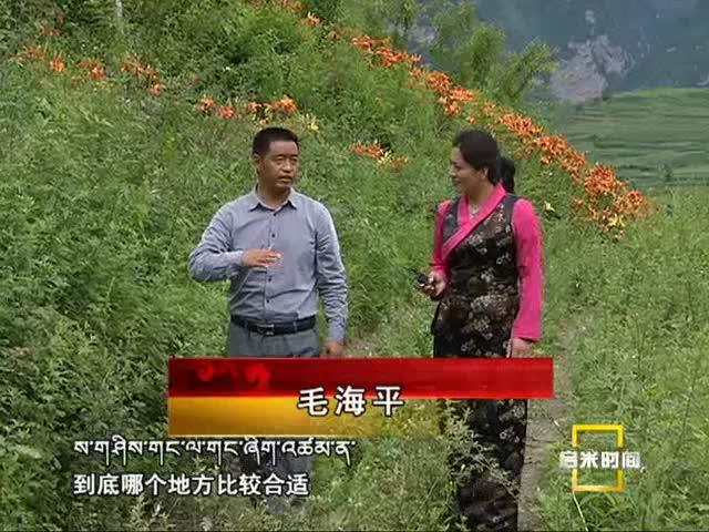 羅依鄉(xiāng)：花海中的生態(tài)之路（8.10）
