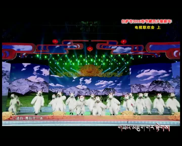 拉薩市2016春節藏歷火猴新年電視聯歡會上（03.13）