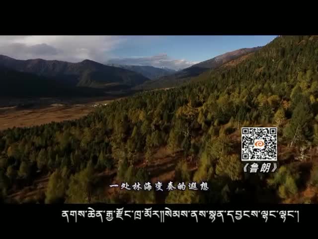 魯朗（12.21）