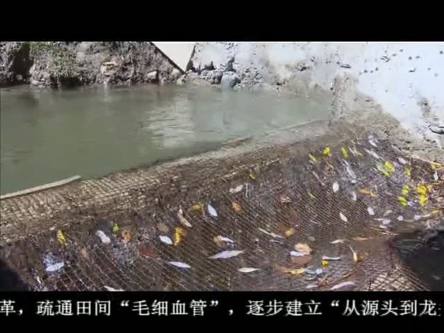 ཁམས་པའི་གསར་འགྱུར། ༼ ༡༢.༡༡ ༽