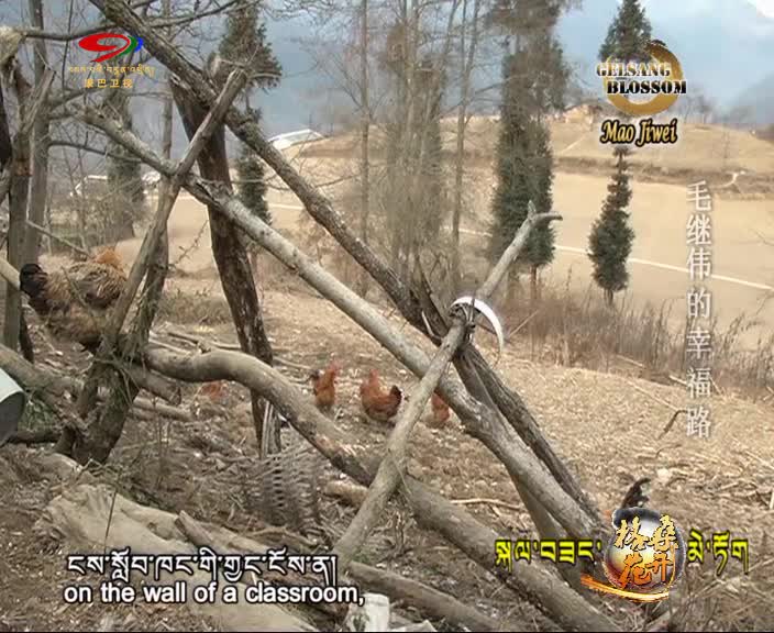 Mao Jiwei -The Road to Happiness