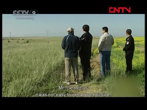 Humanities and Geography  Haibei，Qinghai Part 6