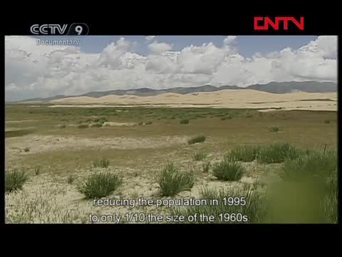 Humanities and Geography  Haibei，Qinghai Part 5