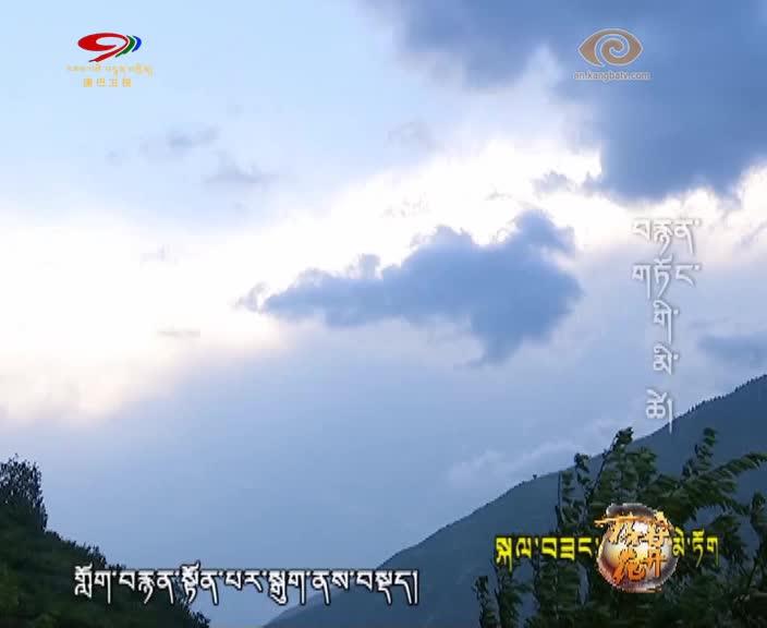 Life Under Light and Shadow