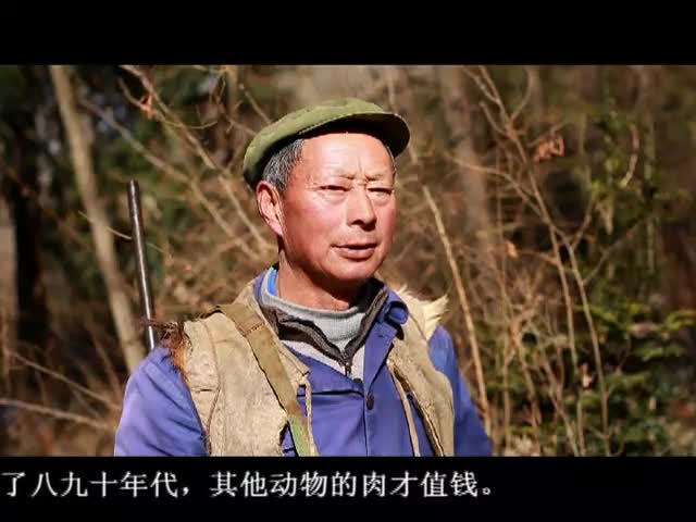 ཁམས་པའི་གསར་འགྱུར། ༼༠༡.༣༡༽