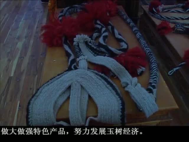 ཁམས་པའི་གསར་འགྱུར། ༼ ༡༠.༠༢ ༽
