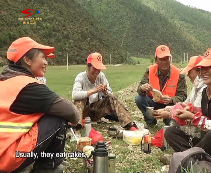 Roadside Gelsang Flowers