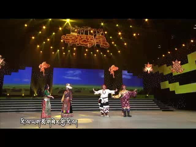 ༢༠༡༤ལོའི་བོད་ལོ་སར་གྱི་མཉམ་སྤྲོ་དགོང་ཚོགས། ༼བར།༽