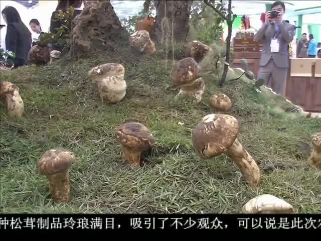 ཁམས་པའི་གསར་འགྱུར། ༼ ༡༡.༡༨ ༽