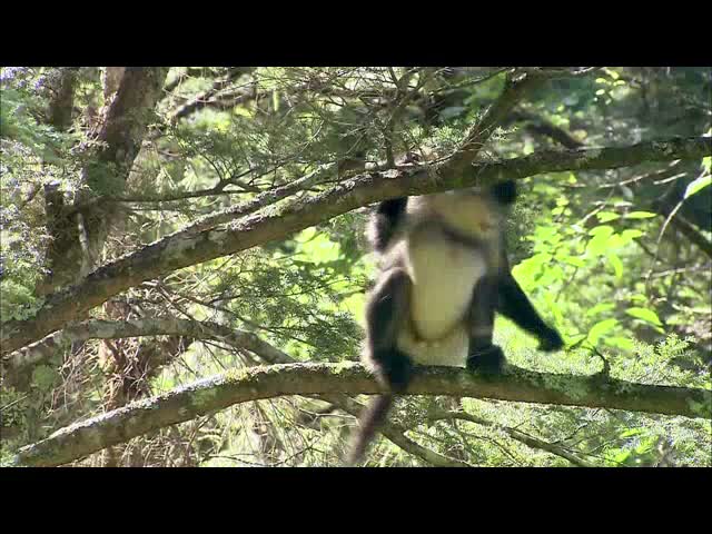 The Heaven-blessed Culture of Khampa Ep1