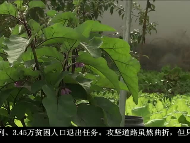 ཁམས་པའི་གསར་འགྱུར།  ༼ ༡༧.༠༢.༢༧ ༽