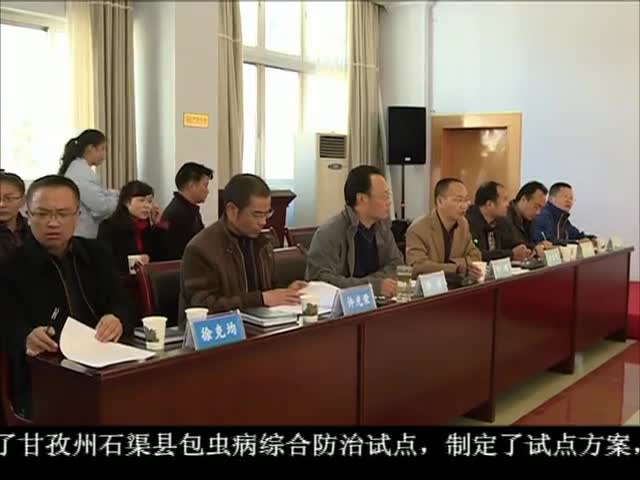 ཁམས་པའི་གསར་འགྱུར། ༼༡༡.༡༠༽