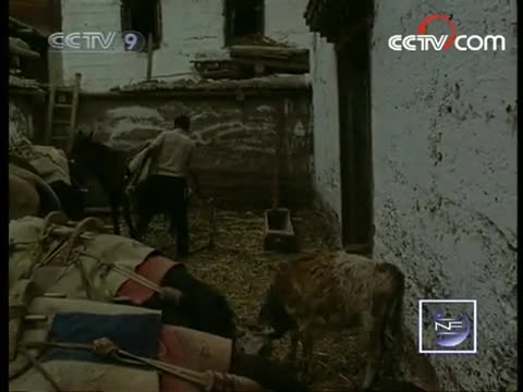 Tibet reaching the sky Part 6