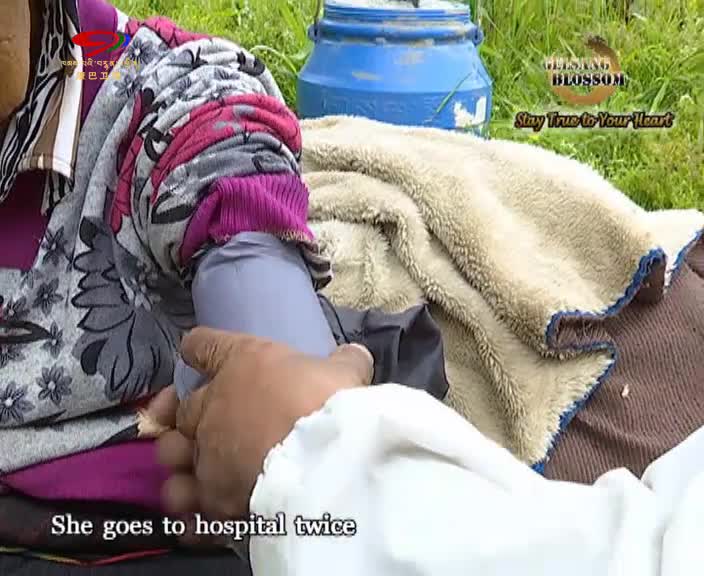 Stay True to Your Heart