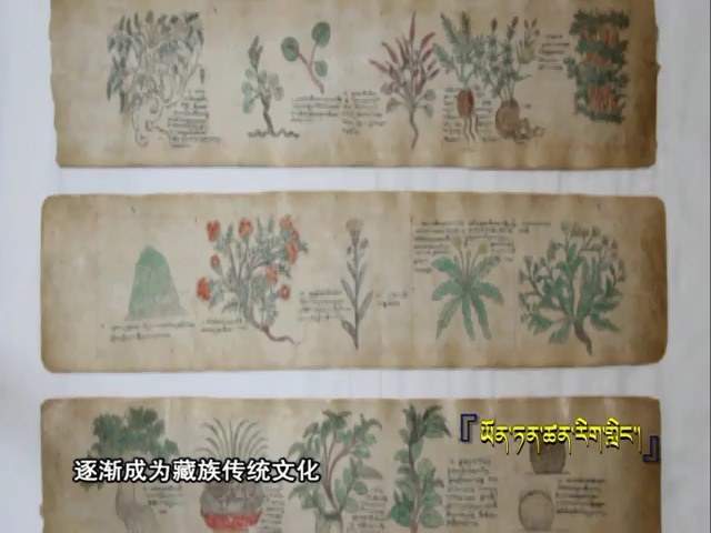 云丹科普苑（08.09）
