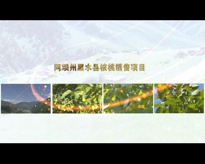 《康巴衛(wèi)視藏區(qū)公益幫扶平臺(tái)》第五十期 阿壩州黑水縣核桃銷售項(xiàng)目