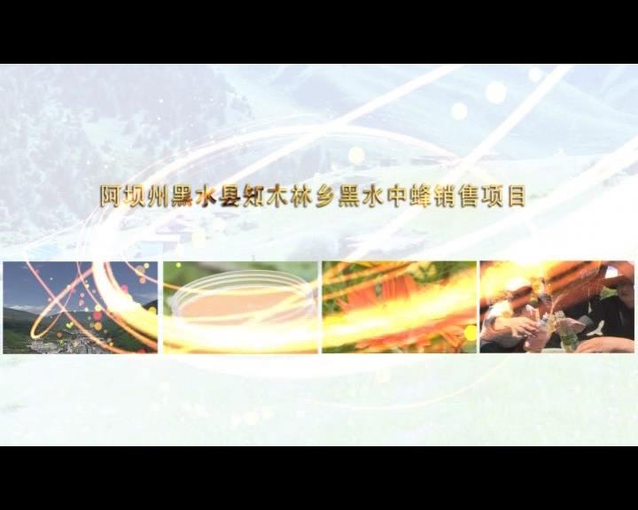 《康巴衛(wèi)視藏區(qū)公益幫扶平臺(tái)》第四十七期 阿壩州黑水縣知木林鄉(xiāng)黑水中蜂銷售項(xiàng)目