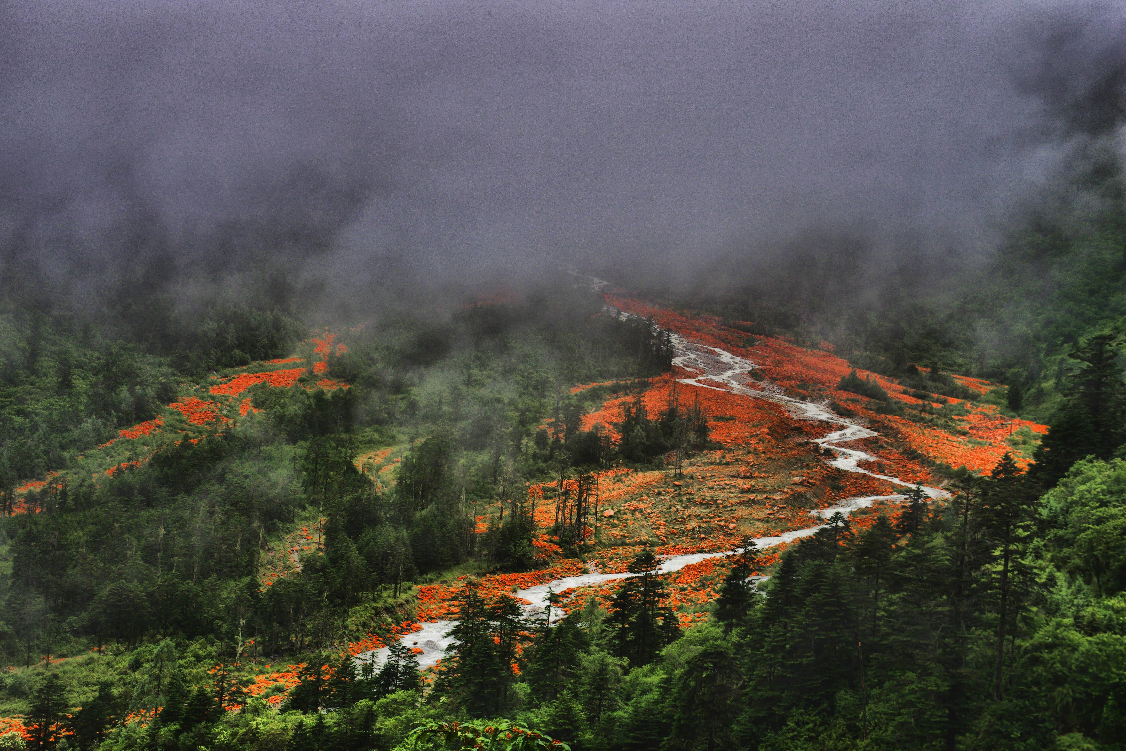 Song Yuxia: a Good Person in Luding