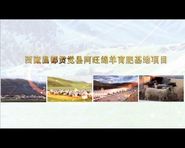 《康巴衛(wèi)視藏區(qū)公益幫扶平臺(tái)》第三十七期 西藏昌都貢覺縣阿旺綿羊育肥基地項(xiàng)目