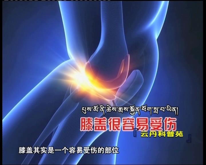 云丹科普苑（06.28）
