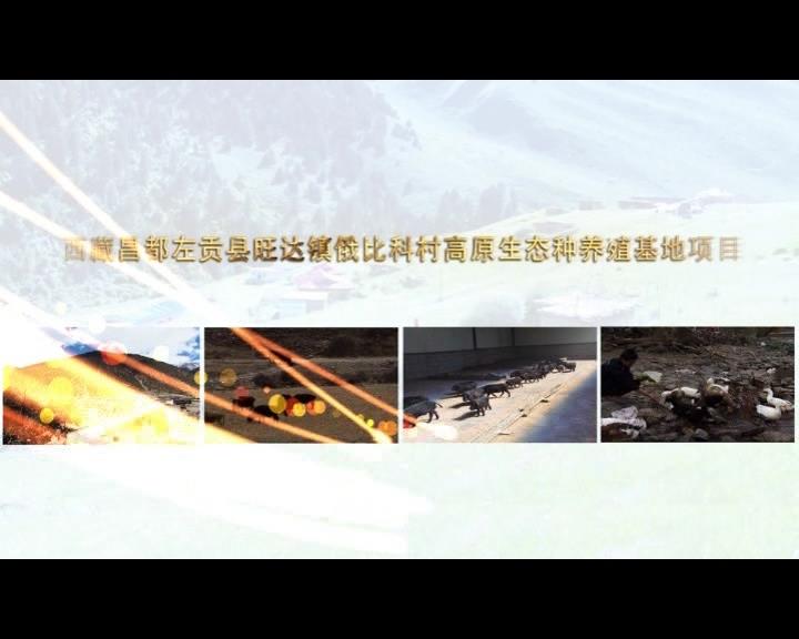 《康巴衛(wèi)視藏區(qū)公益幫扶平臺(tái)》第三十九期 西藏昌都左貢縣旺達(dá)鎮(zhèn)俄比科村高原生態(tài)種養(yǎng)殖基地項(xiàng)目