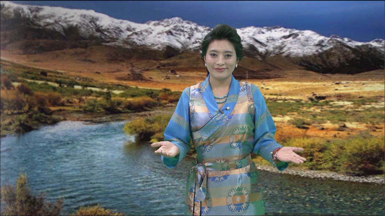 《岗日杂塘》玉树专辑之三格桑啦