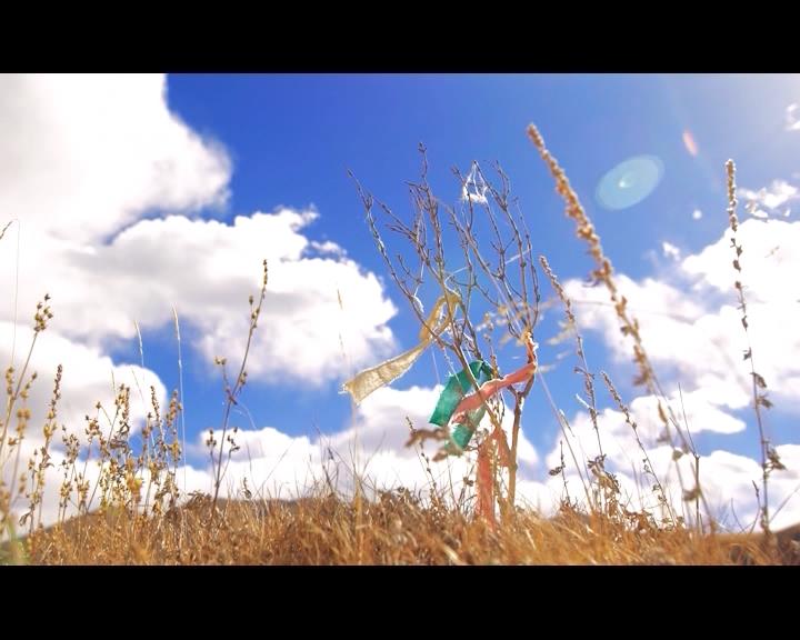 《歌声里的故乡》：扎西的牧歌