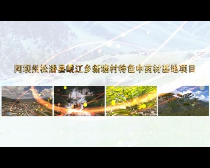 《康巴衛(wèi)視藏區(qū)公益幫扶平臺(tái)》第五十六期 阿壩州松潘縣岷江鄉(xiāng)新塘村特色中藥材基地項(xiàng)目