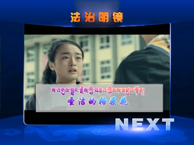 圣潔的格桑花（12.07）