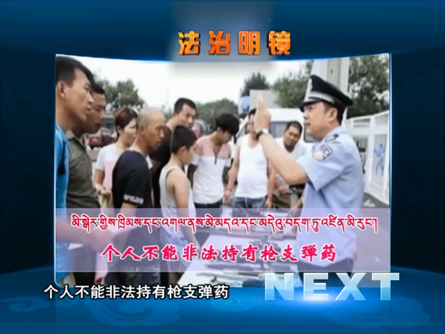 個人不能非法持有槍支彈藥（11.30）