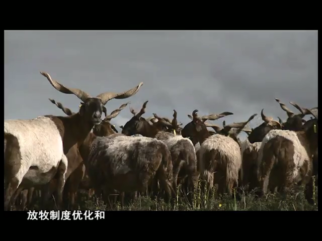 云丹科普苑（12.13）
