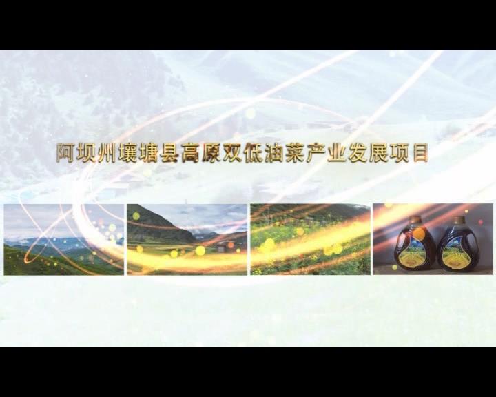 《康巴衛(wèi)視藏區(qū)公益幫扶平臺(tái)》第六十九期 阿壩州壤塘縣高原雙低油菜產(chǎn)業(yè)發(fā)展項(xiàng)目