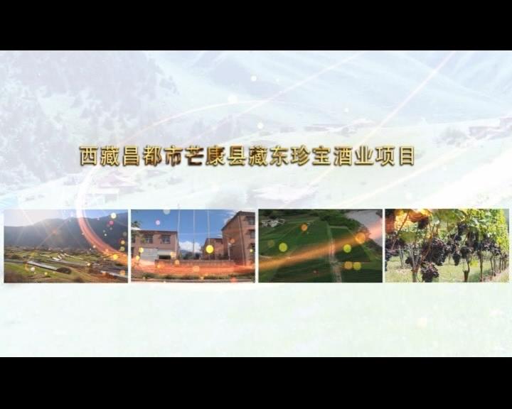 《康巴衛(wèi)視藏區(qū)公益幫扶平臺(tái)》第五十九期 西藏昌都市芒康縣藏東珍寶酒業(yè)項(xiàng)目