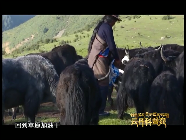 云丹科普苑（03.07）