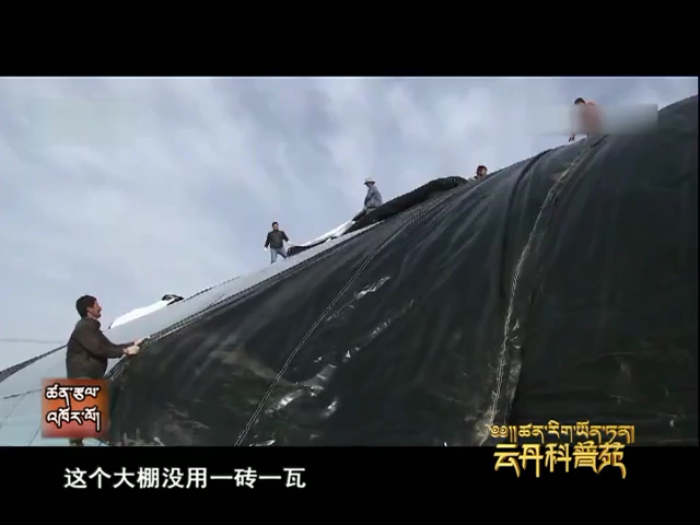 云丹科普苑（10.18）