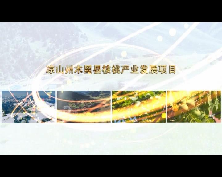 《康巴衛(wèi)視藏區(qū)公益幫扶平臺(tái)》第六十八期 涼山州木里縣核桃產(chǎn)業(yè)發(fā)展項(xiàng)目