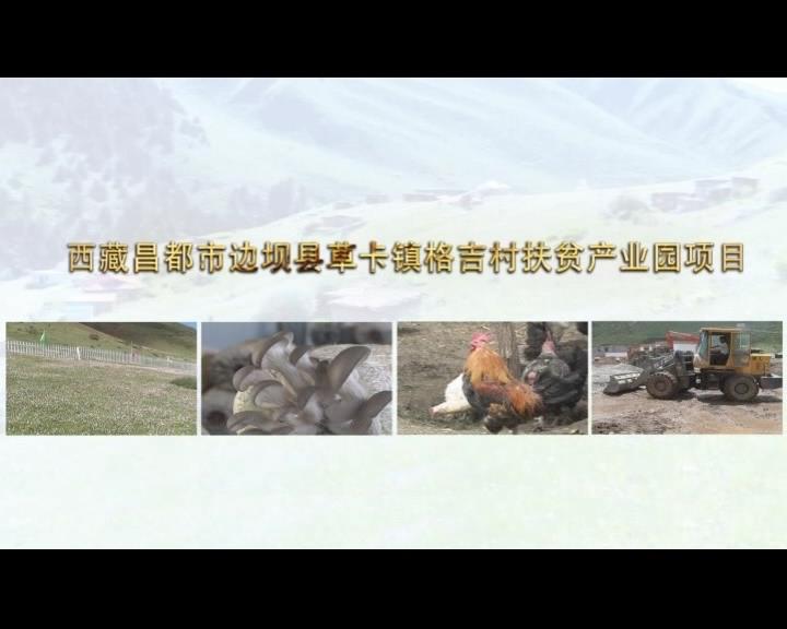 《康巴衛(wèi)視藏區(qū)公益幫扶平臺(tái)》第六十二期 西藏昌都市邊壩縣草卡鎮(zhèn)格吉村扶貧產(chǎn)業(yè)園項(xiàng)目