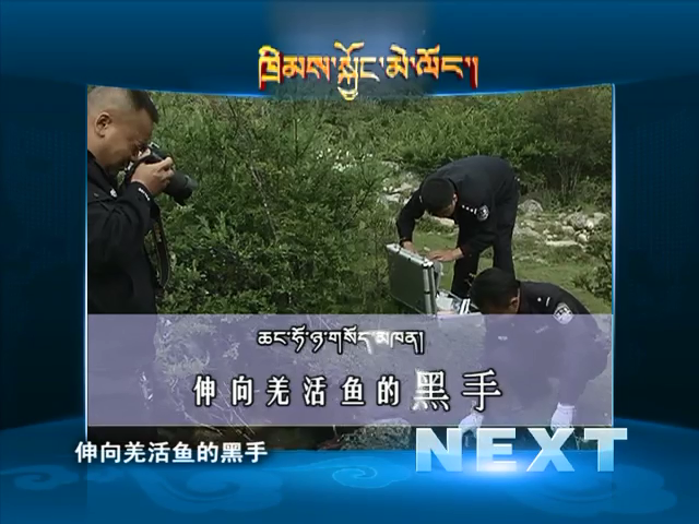伸向羌活魚的黑手（10.26）