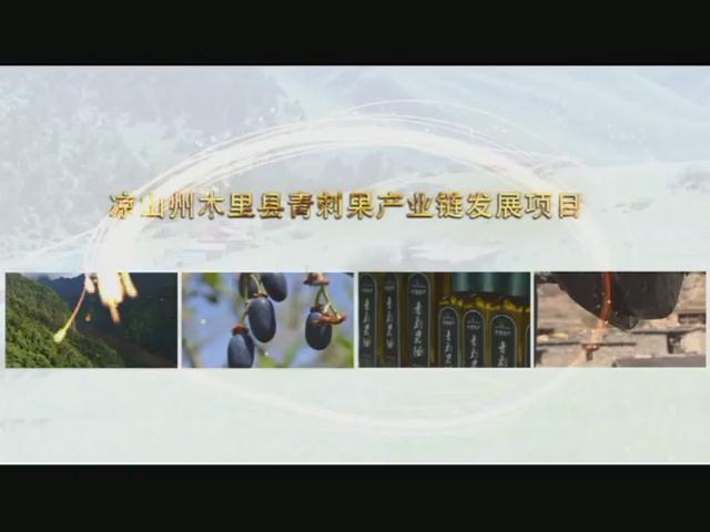 精準(zhǔn)扶貧木里縣青刺果產(chǎn)業(yè)