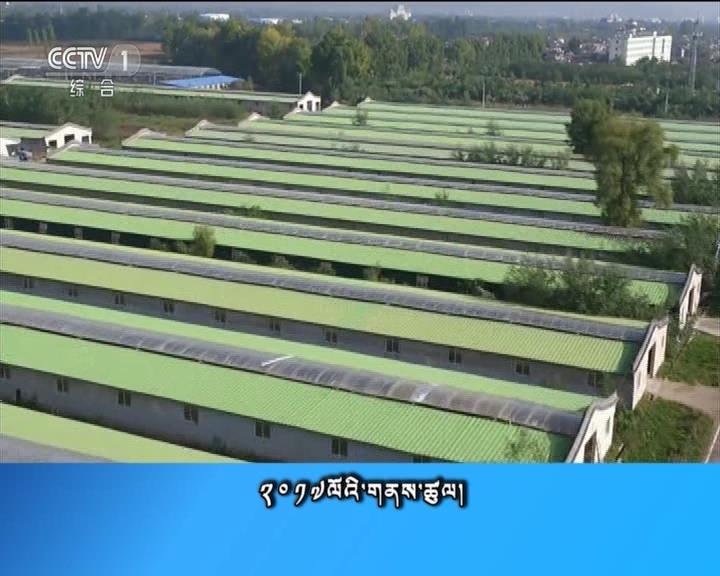 央视新闻联播 （17.12.24）