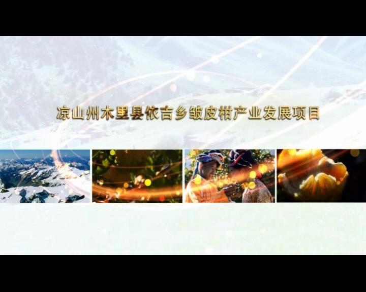《康巴衛(wèi)視藏區(qū)公益幫扶平臺(tái)》第五十四期 涼山州木里縣依吉鄉(xiāng)皺皮柑產(chǎn)業(yè)發(fā)展項(xiàng)目