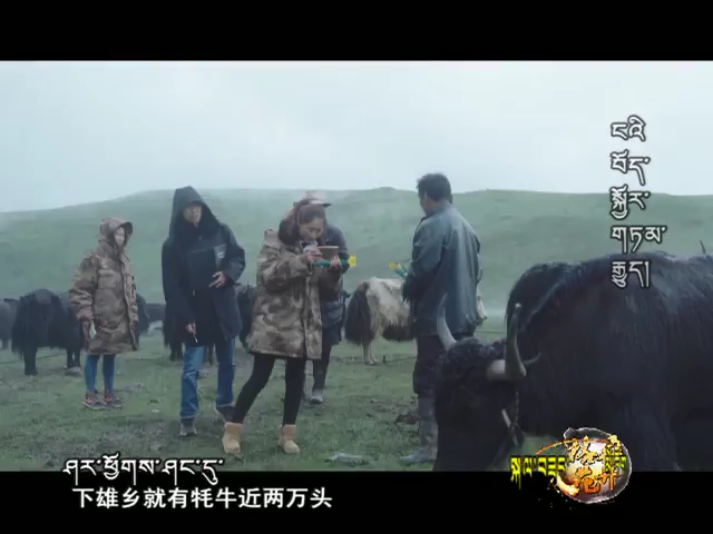 我的援藏故事 羅德福 余定華 張牛（171111）