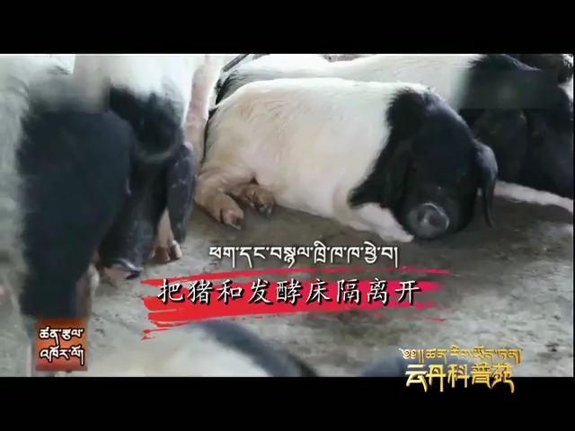 云丹科普苑（03.21）