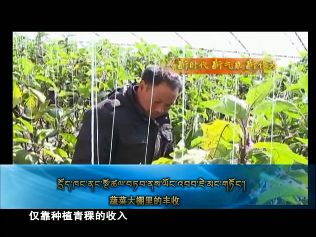 云丹科普苑（12.27）