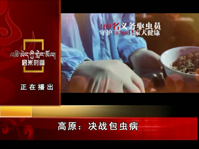 高原：決戰(zhàn)包蟲病（11.27）