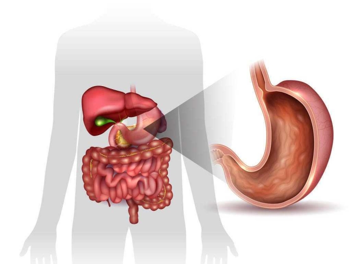 On Stomach Diseases