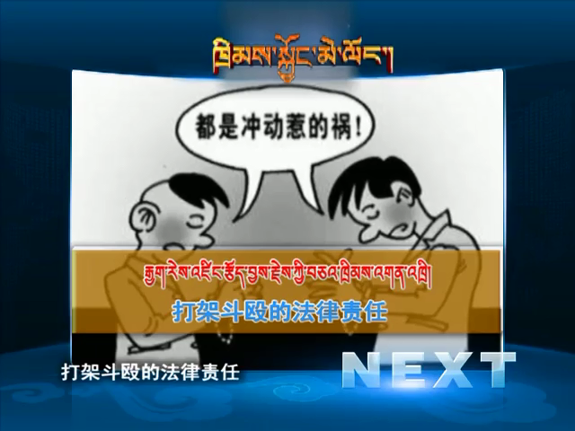 打架斗毆的法律責任（11.16）