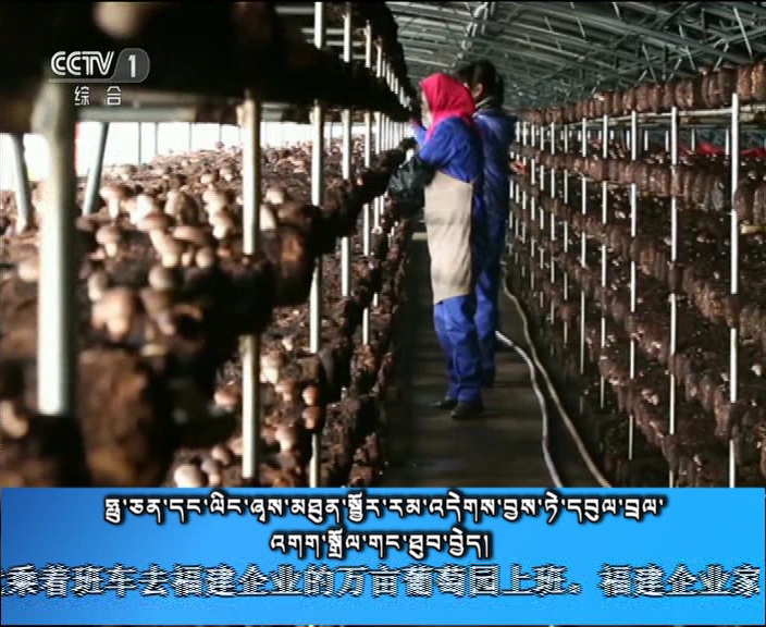 央视新闻联播 （18.09.15）